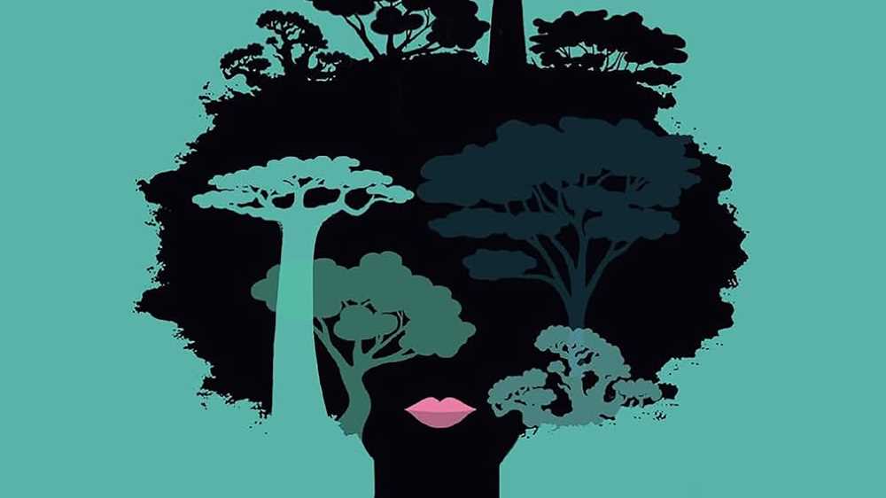 Una testa piena di ricci, un viaggio alla scoperta delle proprie radici: Raffaella Case ci porta dietro le quinte del suo romanzo