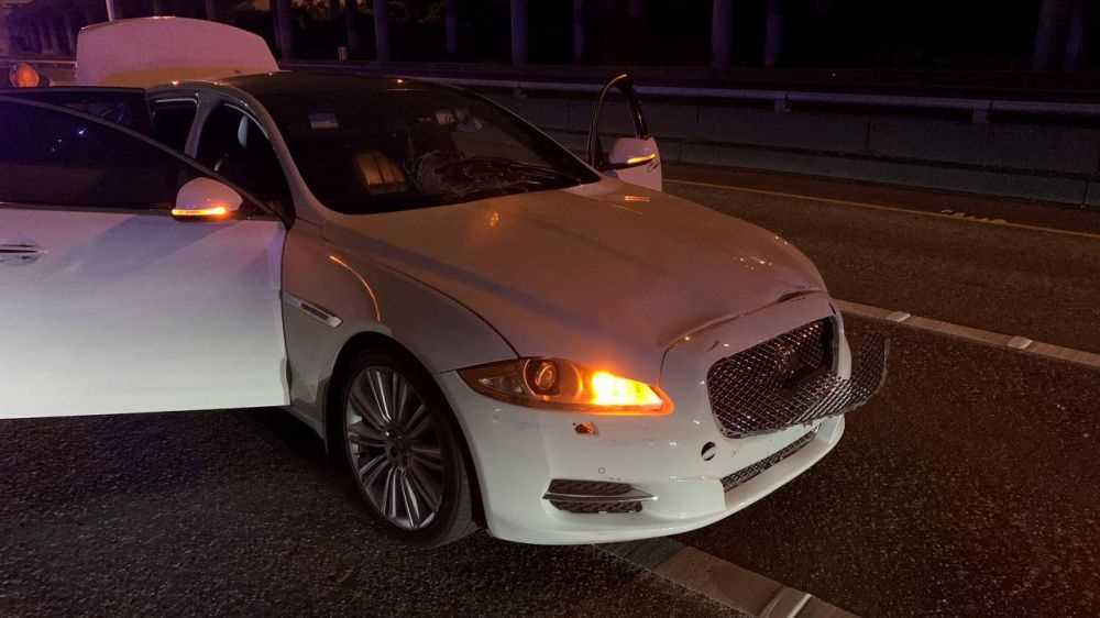 Usa, auto travolge folla di manifestanti a Seattle, due feriti