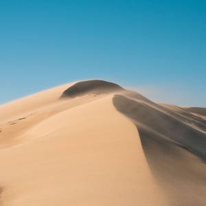 I migliori libri da leggere per ogni età, aspettando Dune Parte 3 andiamo a riscoprire l’opera di Frank Herbert