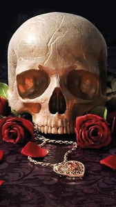 A spasso tra i libri, letture per tutte le età: diamo uno sguardo a “Phantasma” e a “Pagine da strappare per non strapparsi”