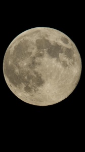 Al via Artemis II: dopo oltre 50 anni si torna verso la luna 