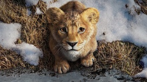 D23 Disney: da Gli Incredibili 3 a Frozen 3 passando per il primo trailer di Biancaneve e il titolo del nuovo Avatar 