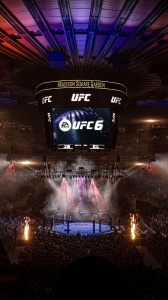 EA Sports UFC 6, le arti marziali miste di Eletronic Arts tornano sul ring