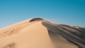 I migliori libri da leggere per ogni età, aspettando Dune Parte 3 andiamo a riscoprire l’opera di Frank Herbert