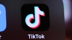 Il lupo che balla spopola su TikTok, ecco come nasce il meme del momento