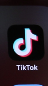 Il meme del "criceto triste" spopola sui social: ecco cosa significa e come realizzarlo