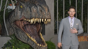 Jurassic Park, nuovo film in arrivo. Potrebbe uscire già nel 2025. Ecco cosa sappiamo