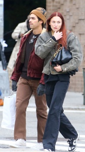 Nick Jonas sostiene il fratello Joe mentre Sophie Turner cena di nuovo con Taylor Swift