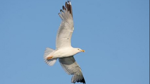 A placeholder image for the article