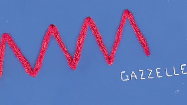 A placeholder image for the article