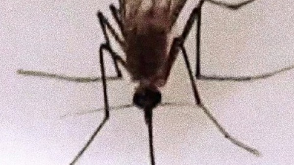 A placeholder image for the article