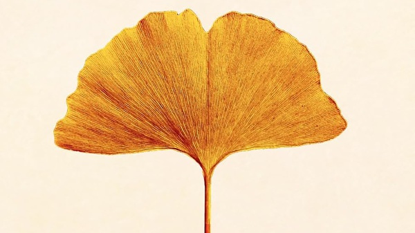 A placeholder image for the article