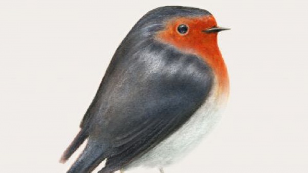 A placeholder image for the article