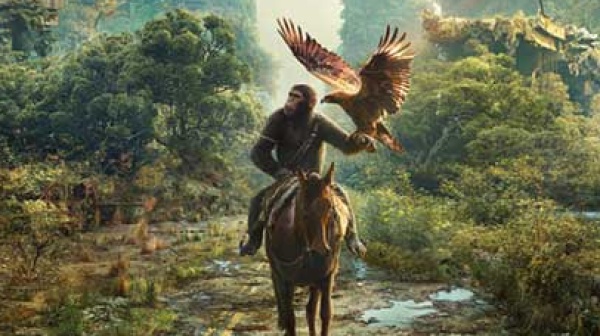 A placeholder image for the article