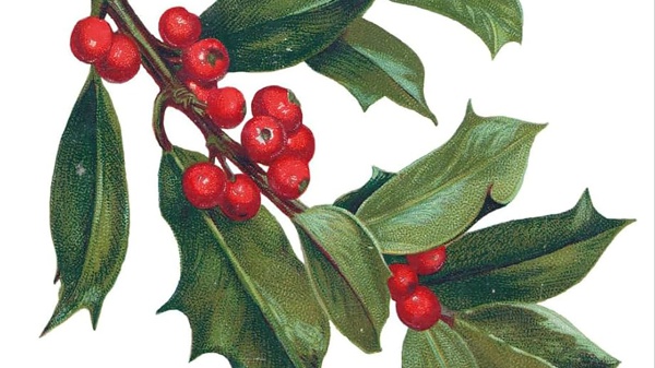 A placeholder image for the article