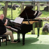 Rick Wakeman suona per 150 orsi salvati: il concerto più insolito della leggenda degli Yes