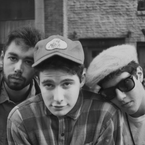 I Beastie Boys svelano cosa c'e davvero in un disco d'oro