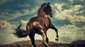 Bruce Springsteen, le “Western Stars”  del nuovo album