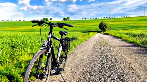 Giornata mondiale dell'ambiente: una playlist da World Environment Day