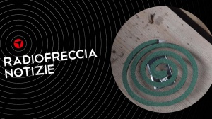 Hi Five: 5 canzoni per scacciare gli insetti