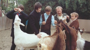 I Beach Boys e l'espulsione dallo zoo di San Diego