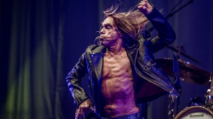 Iggy Pop, alcune storie su di lui: da Elton John il gorilla ai motociclisti rivali