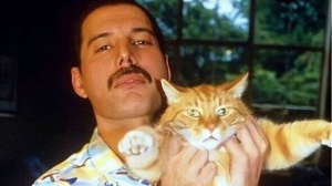 Le rockstar e i loro gatti: da Freddie Mercury a Billy Corgan
