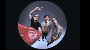 Mark Hoppus fa causa al proprio vicino a causa di un albero