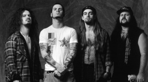 Reunion per i Pantera ? 