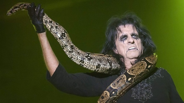 A placeholder image for the article