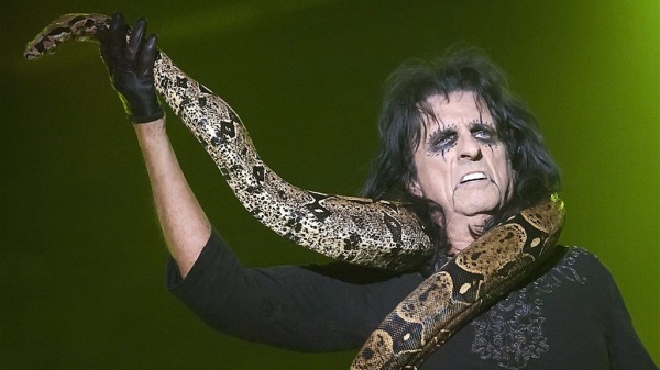 A placeholder image for the article