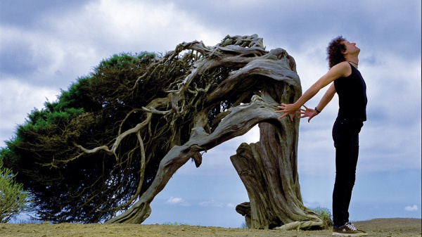 A placeholder image for the article