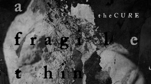 A placeholder image for the article