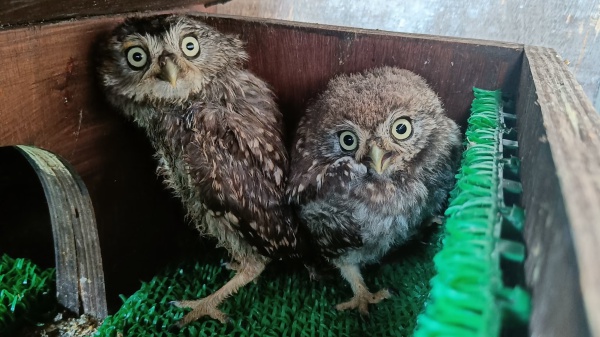 A placeholder image for the article