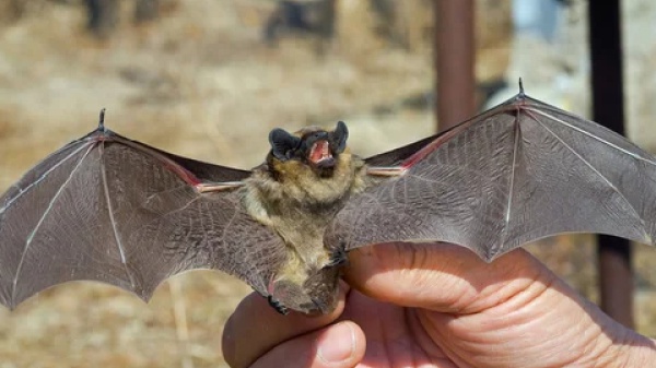 A placeholder image for the article