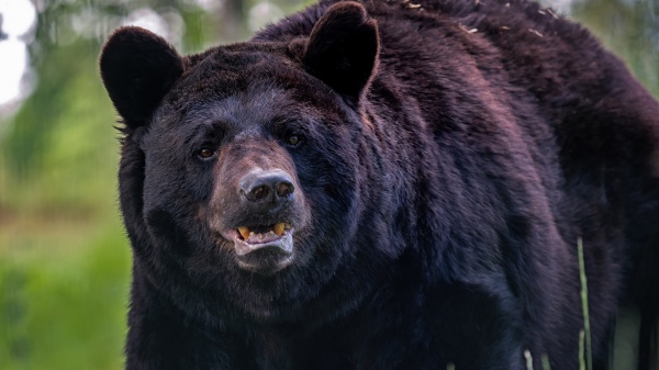 A placeholder image for the article