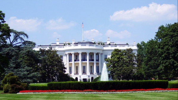 A placeholder image for the article