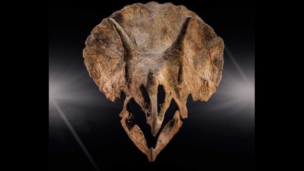 A placeholder image for the article