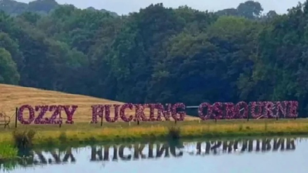 A placeholder image for the article