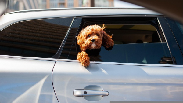 A placeholder image for the article